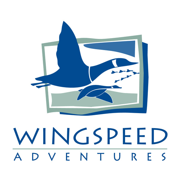 WingSpeed Adventures