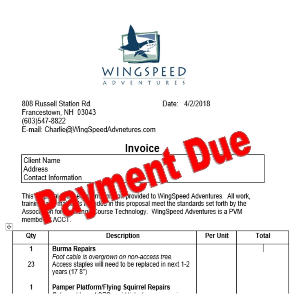 pay-your-invoice-wingspeed-adventures